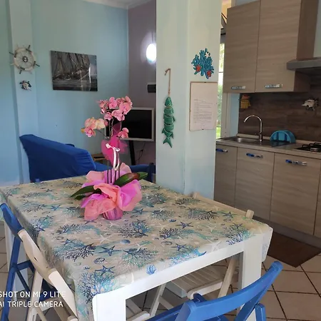 Apartment In